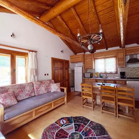 Vila Ev- Akyaka *